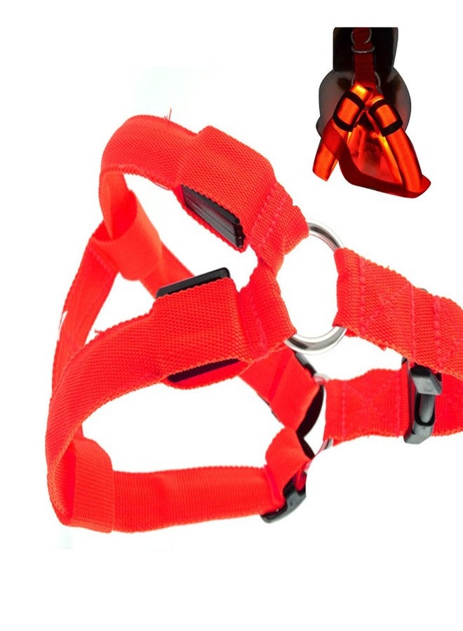 Futaba Dog LED Harness Flashing Light 3 Mode - Red - Extra Large - Image 5